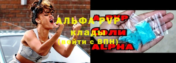 стаф Володарск