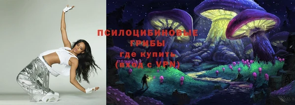 стаф Володарск