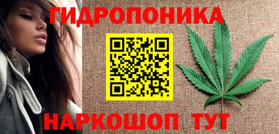 apvp Новозыбков