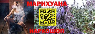 стаф Новокубанск