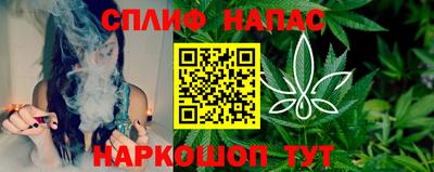 стаф Новокубанск