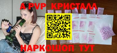 стаф Новокубанск
