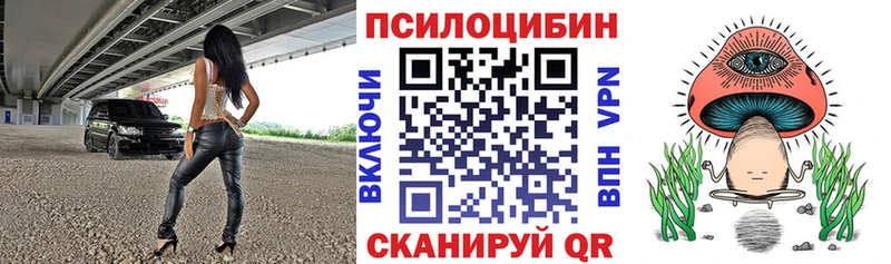 Псилоцибиновые грибы Psilocybe Снежинск