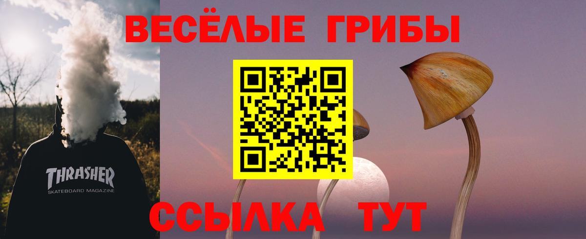 Псилоцибиновые грибы GOLDEN TEACHER Снежинск